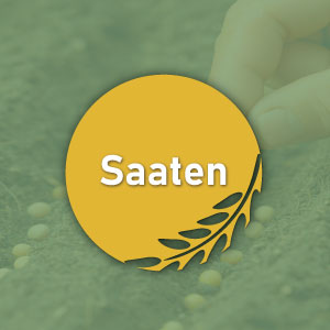 Saaten