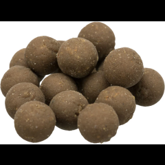 Trixie Adventskalender für KATZEN 30 x 34 x 3,5 cm