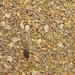Gevo Gartenvogelfutter schalenlos 10 kg