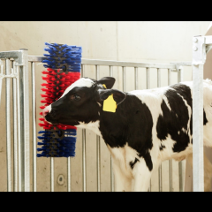 Kerbl Kratzbürste halbrund