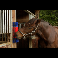 Kerbl Kratzbürste halbrund