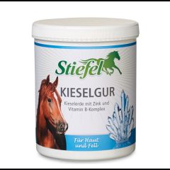Stiefel Kieselgur 1000 g