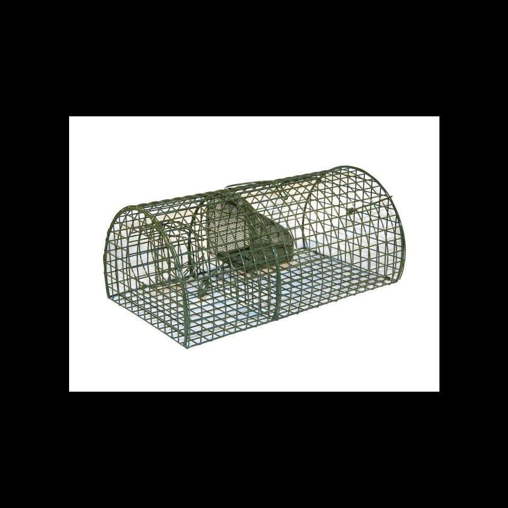 Ratten-Lebendfalle Aus Holz Und Verzinktem Metall | Hergestellt In Deutschland - Foto 7