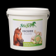 Stiefel Ingwer, gemahlen 1 kg