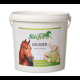 Stiefel Ingwer, gemahlen 1 kg