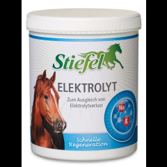 Stiefel Elektrolyt 1 kg