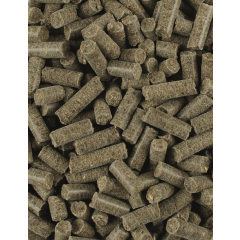 Lexa Kieselgur Plus 1,2 kg