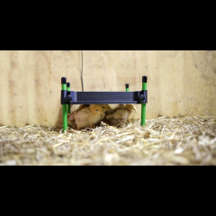 Kerbl Wärmeplatte für Küken CosyHeat, 30 x 30 cm, 25 W