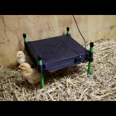 Kerbl Wärmeplatte für Küken CosyHeat, 30 x 30 cm, 25 W