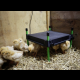 Kerbl Wärmeplatte für Küken CosyHeat, 30 x 30 cm, 25 W
