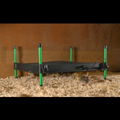 Kerbl Wärmeplatte für Küken CosyHeat, 40 x 50 cm, 50 W