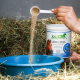 Stiefel Amino Plus 1 kg