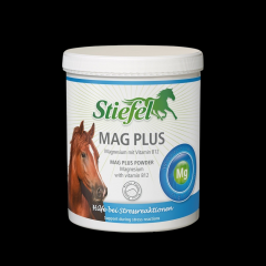 Stiefel Mag Plus PULVER 1 kg