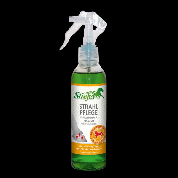 Stiefel Strahl Pflege 200 ml
