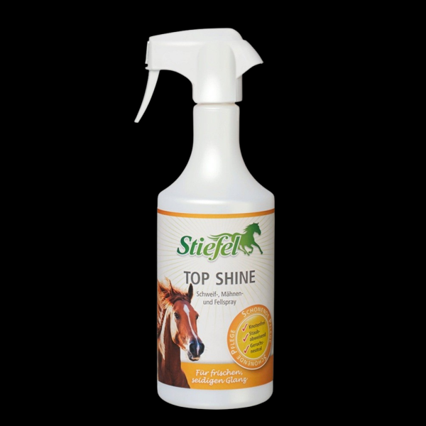 Stiefel Top Shine 750 ml