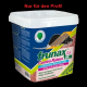 frunax DS Contra Ratten Rattenfertigköder 2 kg (10 x 200 g) 25ppm Eimer