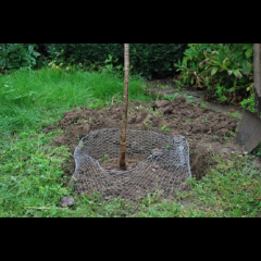 Kerbl Wühlmauskorb klein 35 cm