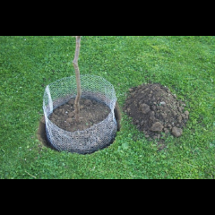 Kerbl Wühlmauskorb klein 35 cm