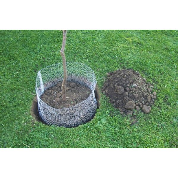 Kerbl Wühlmauskorb groß 60 cm