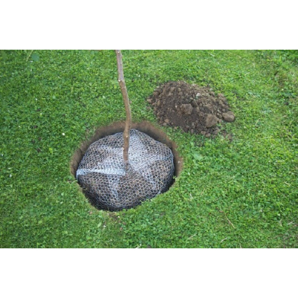 Kerbl Wühlmauskorb groß 60 cm