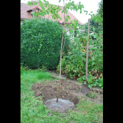 Kerbl Wühlmauskorb groß 60 cm