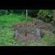 Kerbl Wühlmauskorb groß 60 cm