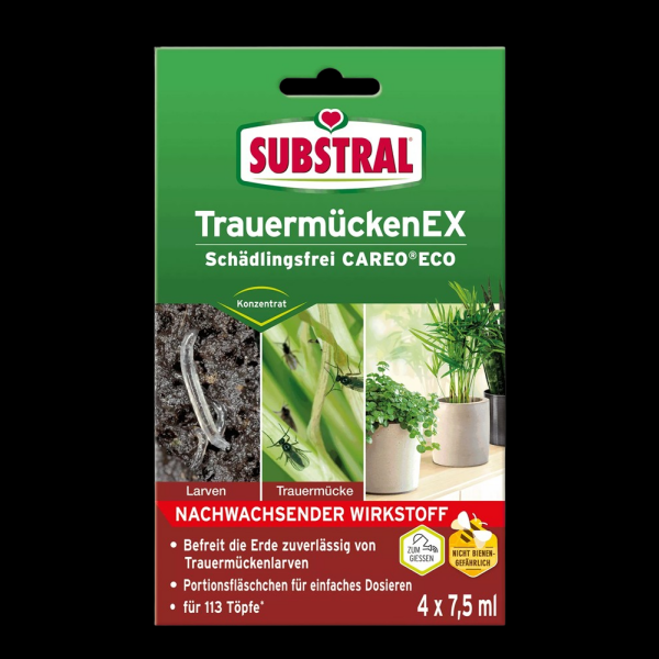 Substral Celaflor Trauermücken Ex