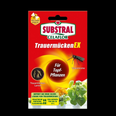 Substral Celaflor Trauermücken Ex