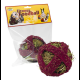 Quiko Fitness Foodball ROTE BEETE 100 g für Nager