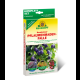 SET Neudorff Neudomon PflaumenmadenFalle KOMPLETT-SET + 2 Nachfüllpacks