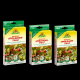 SET Neudorff Neudomon ApfelmadenFalle KOMPLETT-SET + 2 NACHFÜLLPACKS
