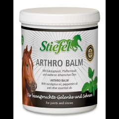 Stiefel Arthro Balm 1 kg