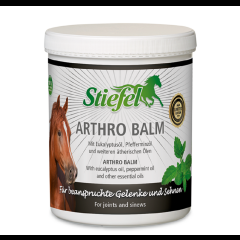 Stiefel Arthro BALM 1 kg