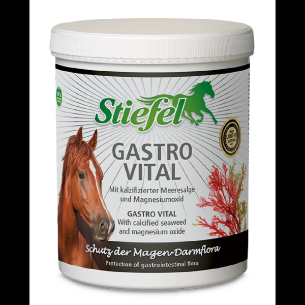 Stiefel Gastro Vital 1 kg