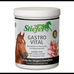 Stiefel Gastro Vital 1 kg