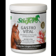 Stiefel Gastro Vital 1 kg