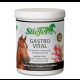Stiefel Gastro Vital 1 kg