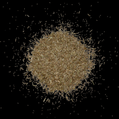 Rudloff Equitana Pferdeweide FRUKTAN LIGHT 10 kg
