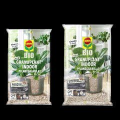 Compo BIO Granuplant INDOOR-Pflanzgranulat