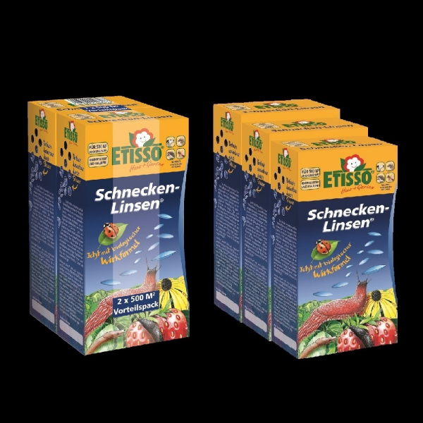 Etisso Schnecken-Linsen