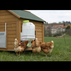 Kerbl SmartCoop Geflügeltränke 10 Liter