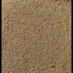 Sojaextraktionsschrot Sojaschrot