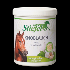Stiefel Knoblauch