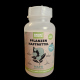 Green Mundo Hafti, Pflanzenhaftmittel 500 ml
