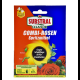 Substral Celaflor COMBI-Rosen Spritzmittel 1x15ml plus 2x4ml