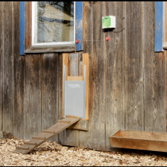 Kerbl Automatische Hühnertür mit Schiebetür 300 x 400 mm