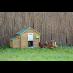 Kerbl Automatische Hühnertür mit Schiebetür 300 x 400 mm