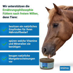 EquiVital PLUS Equiblock 3 kg