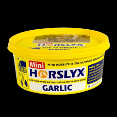 Derby Horslyx GARLIC