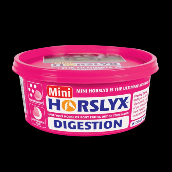 Derby Horslyx DIGESTION